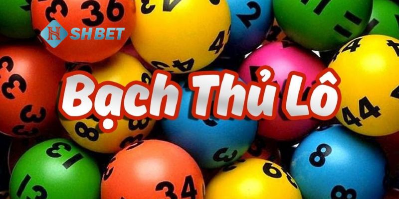 Bạch thủ lô Định nghĩa bạch thủ lô