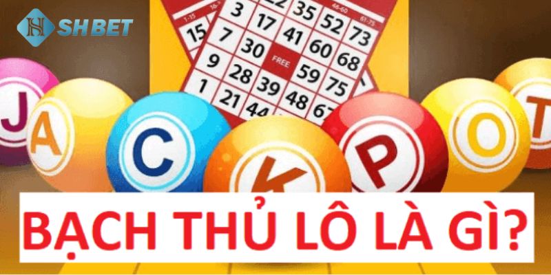 Bạch thủ lô Tổng hợp những phương pháp bắt bạch thủ lô đỉnh cao