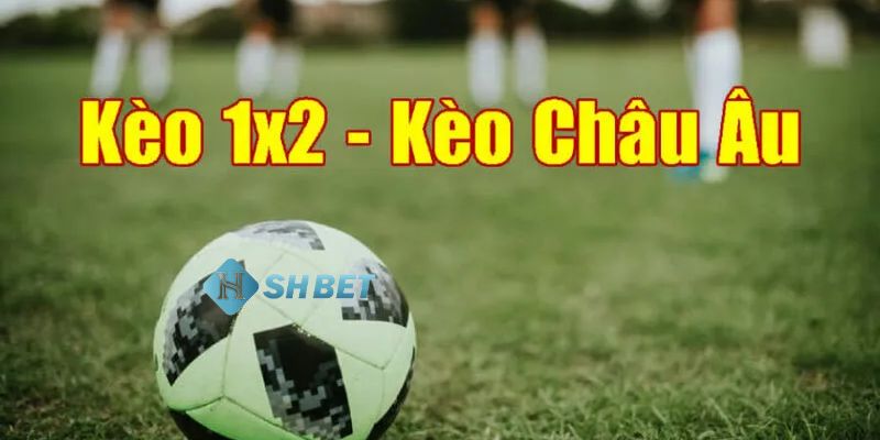 Hướng dẫn cách đọc kèo bóng đá đầy đủ cho người mới
