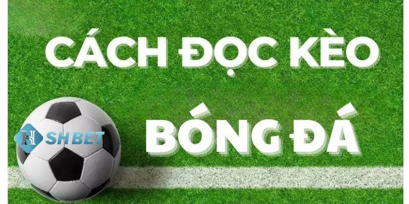 cách đọc kèo bóng đá