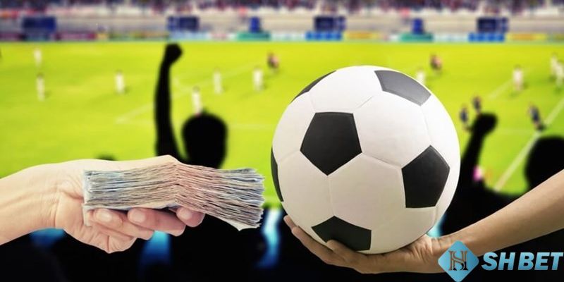 Cẩm nang cá cược bóng đá