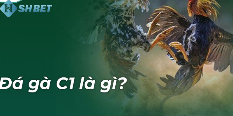 đá gà C1 là gì