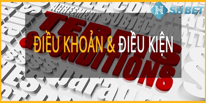 5 câu hỏi thường gặp liên quan đến quy định điều khoản tại nhà cái