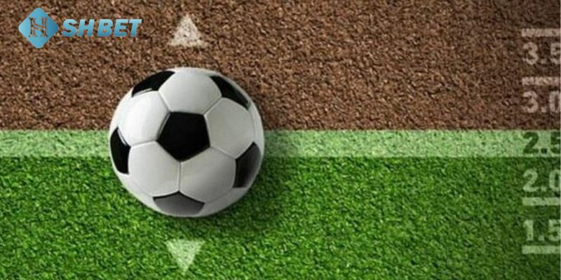 Kèo 2.5 là gì Kèo 2.5 là gì?