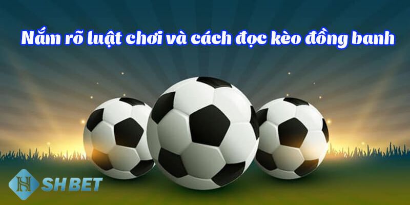 Kèo đồng banh Chia sẻ những chiến thuật cá cược kèo đồng banh hiệu quả