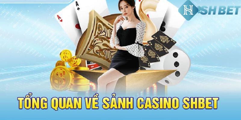 Sòng bài là gì?