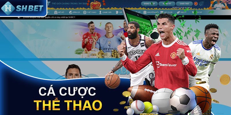 Sân chơi thể thao đẳng cấp quốc tế