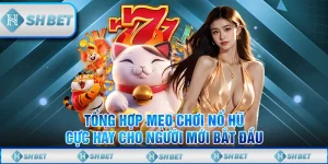 Tổng Hợp Mẹo Chơi Nổ Hũ Cực Hay Cho Người Mới Bắt Đầu