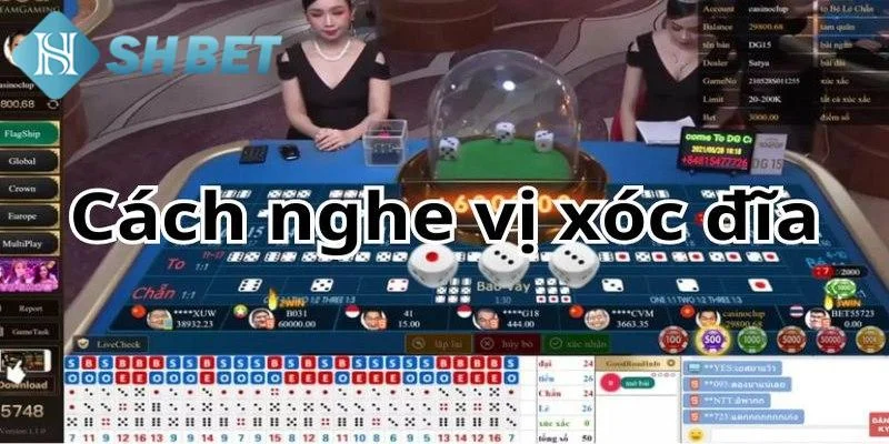 Bí quyết đọc vị xóc đĩa từ chuyên gia
