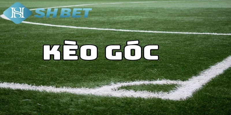 Cách đọc kèo phạt góc chi tiết
