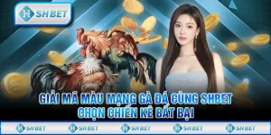 Giải Mã Màu Mạng Gà Đá Cùng SHBET - Chọn Chiến Kê Bất Bại