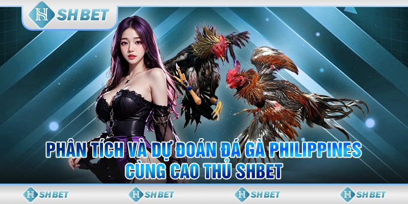 Phân Tích Và Dự Đoán Đá Gà Philippines Cùng Cao Thủ SHBET