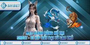 Mẹo Đánh Rồng Hổ Tại SHBET - Bí Kíp Bất Bại Từ Cao Thủ