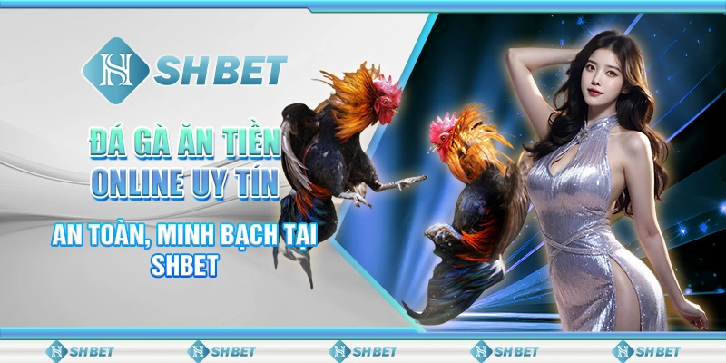 Đá Gà Ăn Tiền Online Uy Tín, An Toàn, Minh Bạch Tại SHBET