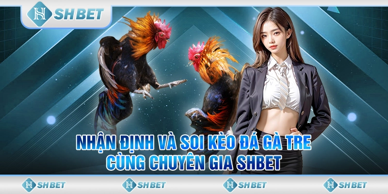 Nhận Định Và Soi Kèo Đá Gà Tre Cùng Chuyên Gia SHBET