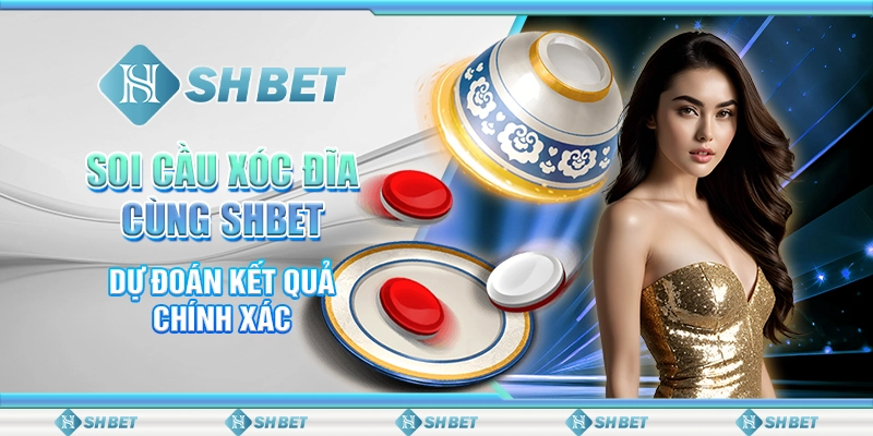 Soi Cầu Xóc Đĩa Cùng SHBET - Dự Đoán Kết Quả Chính Xác
