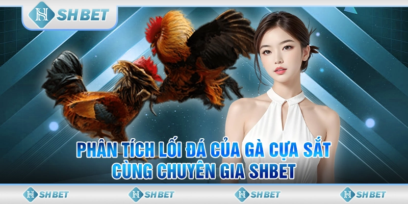 Phân Tích Lối Đá Gà Cựa Sắt Cùng Chuyên Gia SHBET