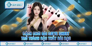 Cách Chơi Bài Catte SHBET Trở Thành Bậc Thầy Bài Bạc