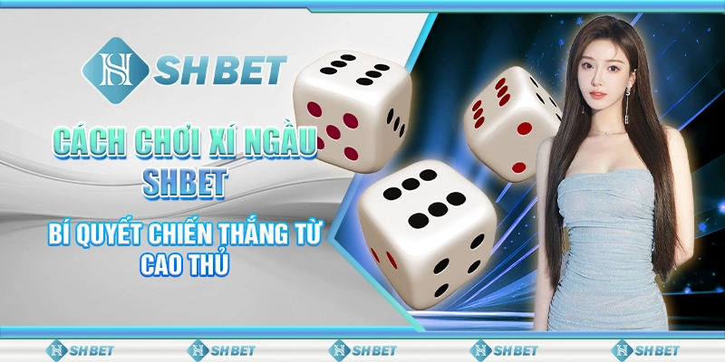 Cách Chơi Xí Ngầu SHBET - Bí Quyết Chiến Thắng Từ Cao Thủ