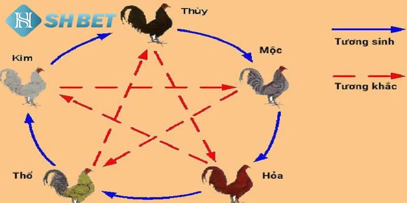Bí quyết chọn chiến kê theo màu mạng gà đá