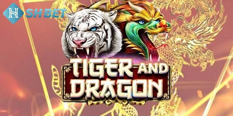 Các bước tham gia chơi rồng hổ tại SHBET