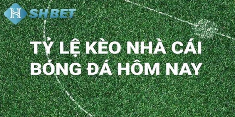 Các loại kèo nhà cái phổ biến tại SHBET