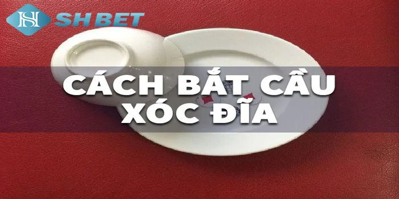 Các phương pháp soi cầu xóc đĩa phổ biến