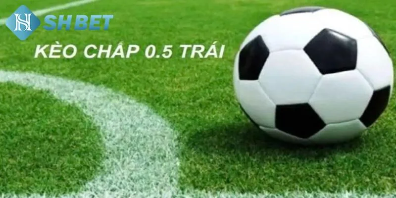 Cách soi kèo chấp 0.5 hiệu quả