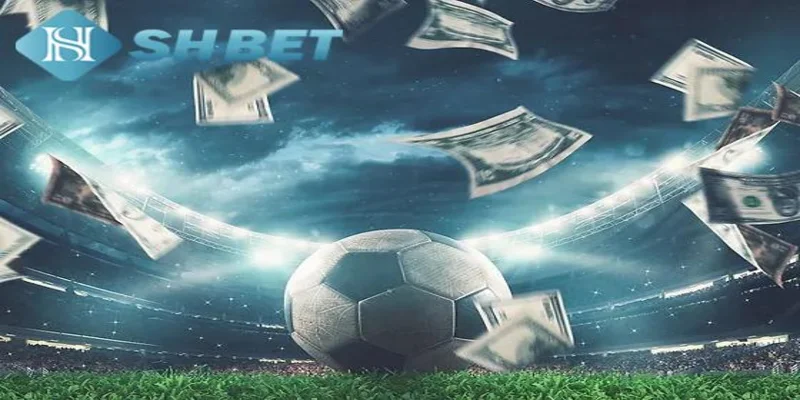 Hướng dẫn cách đặt kèo đồng nửa tại SHBET