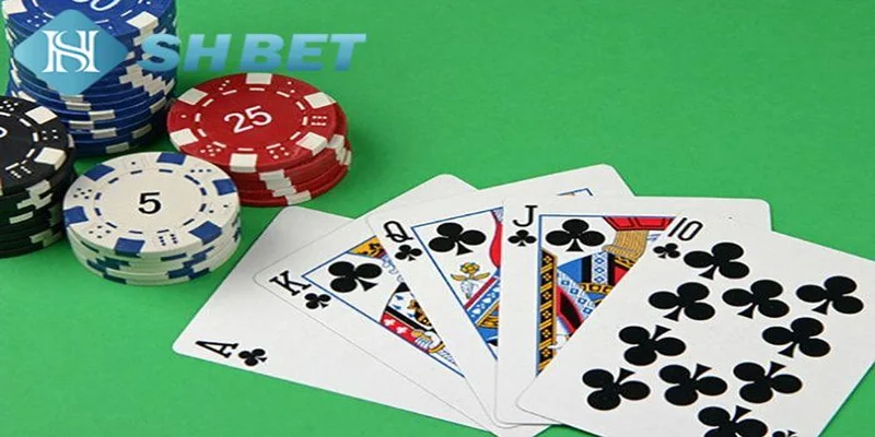 Luật chơi xì tố chuẩn không cần chỉnh tại SHBET