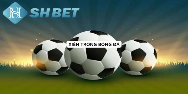 Lý do chọn SHBET để đặt cược xiên bóng đá