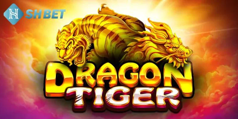 Lý do nên chơi rồng hổ tại SHBET