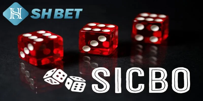 Mẹo chơi Sicbo hiệu quả dành cho người mới