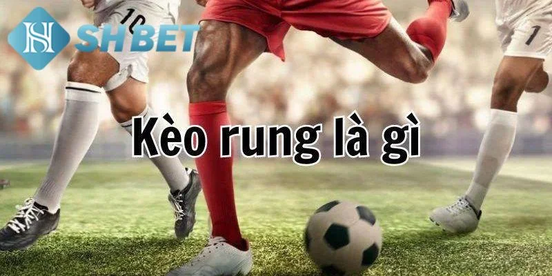 Những bí kíp nắm bắt kèo rung hiệu quả
