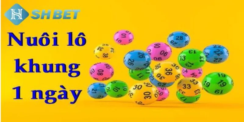 Những lưu ý quan trọng khi chơi lô khung 1 ngày tại SHBET