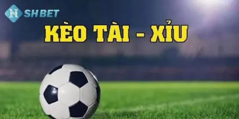 Những lưu ý quan trọng khi chơi tài xỉu tại SHBET