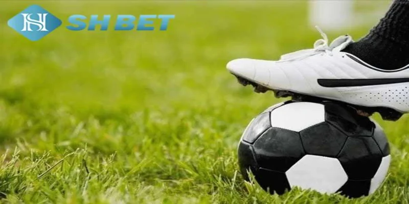 Những ưu điểm của kèo đồng nửa tại SHBET