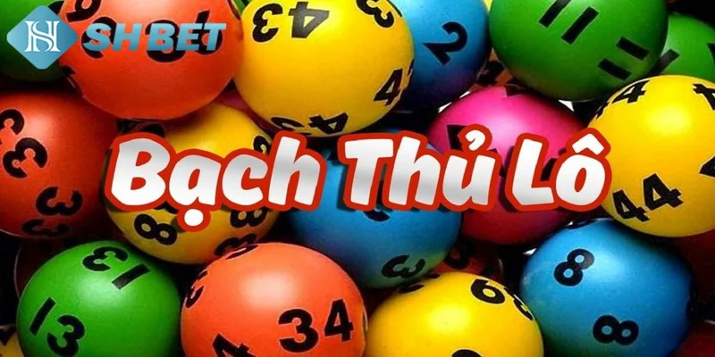 Phương pháp soi cầu bạch thủ lô hiệu quả