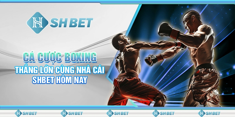 Cá Cược Boxing - Thắng Lớn Cùng Nhà Cái SHBET Hôm Nay