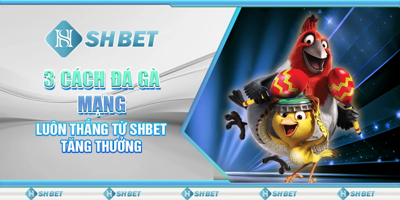 3 Cách Đá Gà Mạng Luôn Thắng Từ SHBET - Tăng Thưởng