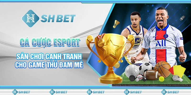 Cá Cược Esport – Sân Chơi Cạnh Tranh Cho Game Thủ Đam Mê