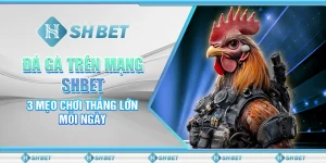Đá Gà Trên Mạng SHBET - 3 Mẹo Chơi Thắng Lớn Mỗi Ngày