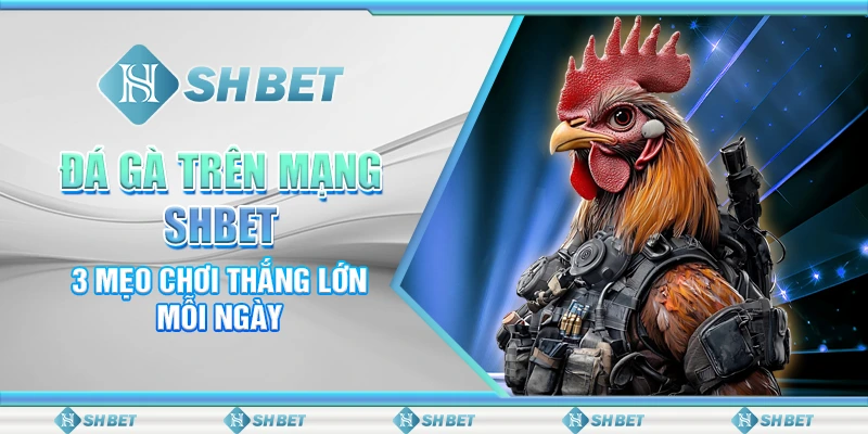 Đá Gà Trên Mạng SHBET - 3 Mẹo Chơi Thắng Lớn Mỗi Ngày