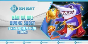 Bắn Cá Đại Dương SHBET - 5 Kinh Nghiệm Nhận Thưởng