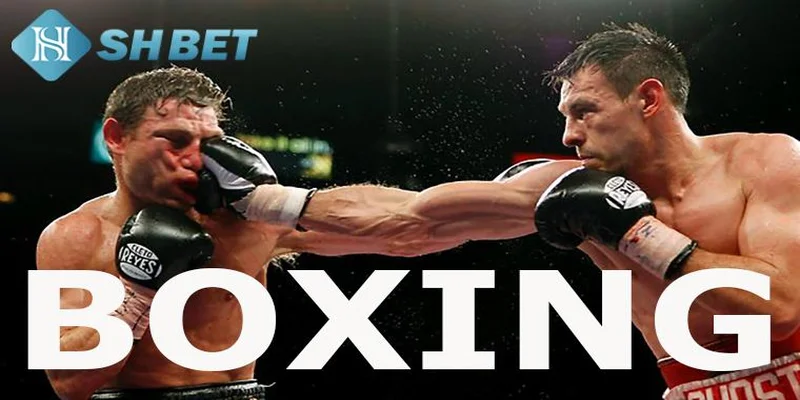Cá cược boxing và cơ hội thắng lớn