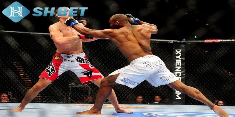 Lợi ích khi cá cược boxing tại SHBET