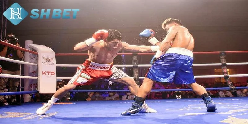 Các chiến thuật cá cược boxing từ chuyên gia