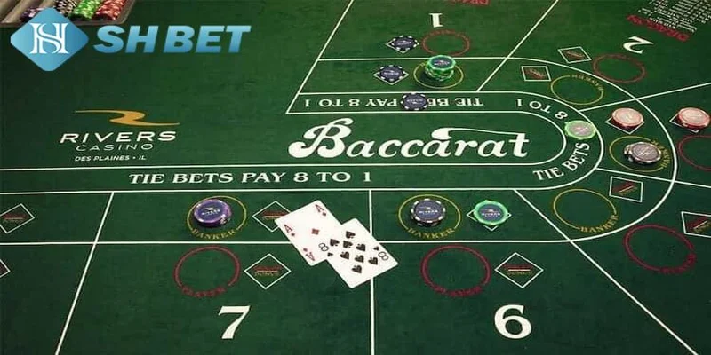 Các bước phân tích cầu baccarat SHBET